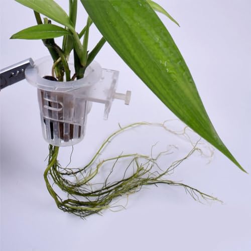 Image of FRCOLOR 4Pcs Hanging Aquarium Plant Holder with Suction Cups Fish Tank Planter Cup for Plants Promotes Water Circulation and Plant Growth