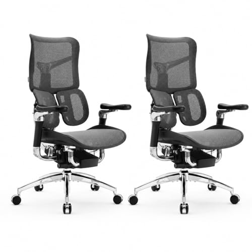 Image of SIHOO Doro S300 Ergonomic Office Chair, Computer Chair, Gaming Chair with Dual Dynamic Lumbar Support, 6D Coordinated Armrests, Adjustable Rolling Chair, 2 Pacxks (Light Black Italian Velvet Mesh)