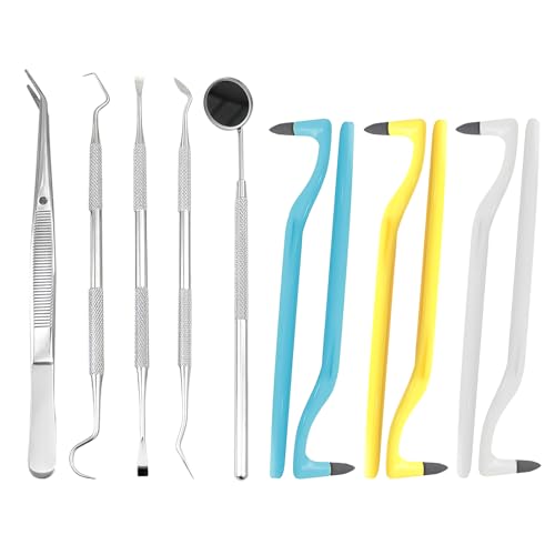 BORISCA 11 Piezas Kit Limpieza Dental Kit Quita Sarro Dental Sarro Dental Limpiador, Kit Dentista con Espejo Dentista, Lima Dental, Pinzas Dentales, Sonda Dental y Herramientas para el Sarro
