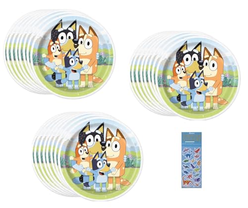 Bluey Birthday Party Supplies Bundle includes 24 Lunch Paper Plates 9" and 1 Dinosaur Sticker Sheet