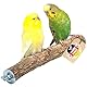 Vogelgaleria® Leckere Korksitzstange Wellensittich Nymphensittich 20cm| Kork Sitzstange mit Korkrinde zum Sitzen und Knabbern | Vogelsitzstange und Vogel Stange für Krallenpflege | Korksitzbrett
