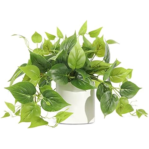 Faux Plants Indoor - Fake Potted Pothos Plant for Home Decor Artificial Greenery with White Ceramic Planter for Bedroom Living Room Office Garden Table Shelf Decor Cover