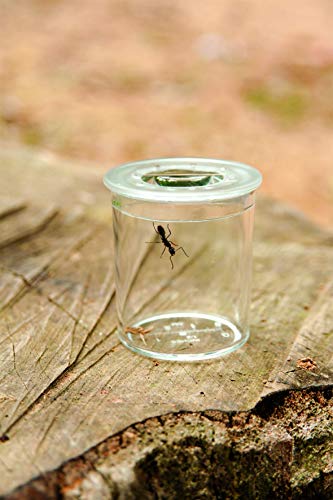 Buki BL033 Explorateur à insectes - vue 3