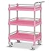ZSCLLCQ Przechowywanie Ciężarówek, Ruchomych Wózków Ruchomych, 3 Tier Mobile Salon Kosmetyczny Wózek Spa, Przenośny Abs Z Uniwersalnym Hamulcem Koszykowym, Uchwyt Metalowy/Pink/Xl