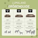 Lumaland orthopädisches Hundebett aus Cord | ergonomisches Hundesofa 70x60 cm - für kleine Hunde | Boden rutschfest | Füllung und Bezug waschbar | Hundekörbchen mit Memory Schaumstoff
