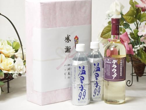 実りの秋の贈り物 感謝の贈り物ボックス 温泉水2本と国産ワインセット(山梨県産葡萄使用 デラウエア白ワイン やや辛口(山梨県)720ml温泉水99 500ml×2本