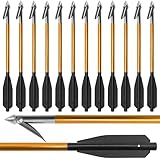 RUOERSISI 6.8 Inch Aluminium Fishing Bolts with Harpoon Pistol Crossbow Bolts for Fishing with Steel Point Fishing Arrows for Outdoor Hunting Fishing (Gold12)