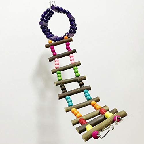  P[W  Jt   Ԃ X^h ͂  nX^[ ݂苴      Vя ^s