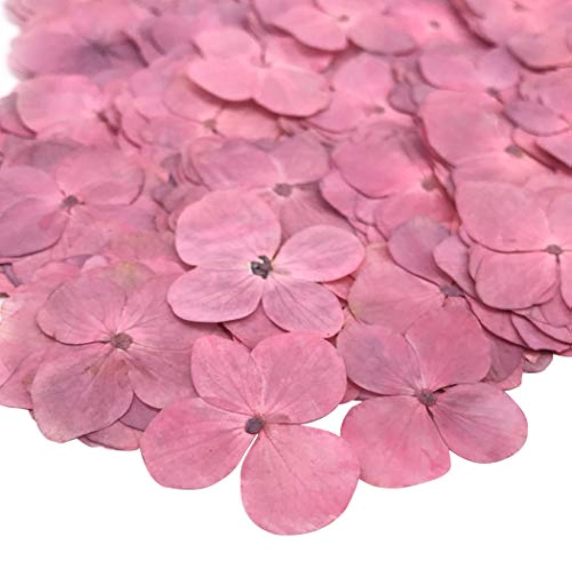 12PCS Pressed Flowers Natural DIY Flowers for Bookmark