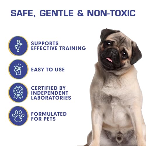 MagiSel No Chew Spray für Hunde, Fernhaltespray Hunde Bitter Apple Spray für Hund/e, Hundeabwehrspray, Anti Kau Spray Hund, Hält Hunde Wirksam vom Kauen ab Möbel, Kleidung und Schuhe(50 ML)