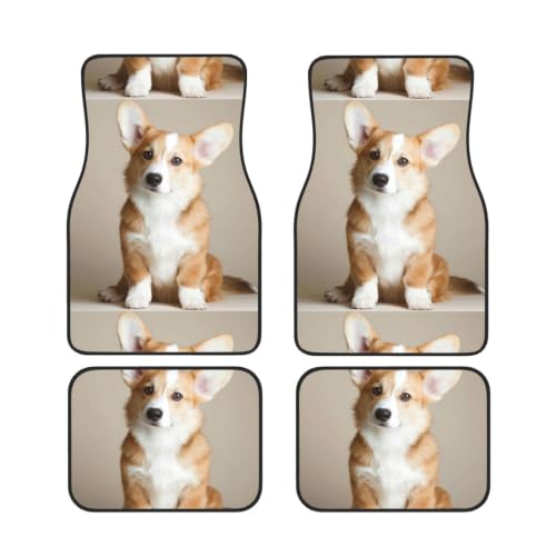 Alfombrillas para coche de corgi protegen el suelo contra suciedad y agua