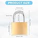 12 Pack Solid Brass Same Keyed Padlock Keyed Alike Padlock Waterproof and Rustproof Lock with 1-1/4