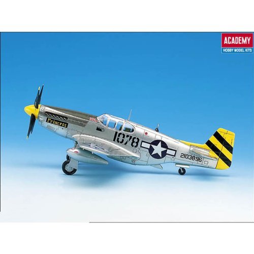 P-51 mustang 値段提示お願いいたします 51PKYdXLv0L._UF894,1000_QL80_.jpg