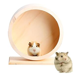 DINGZHAO Hamsterwiel – houten oefenwiel voor huisdieren, geruisloos, grappig loopfiets, rusthuis, nest, antislip…