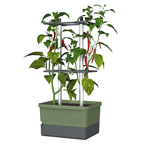 Charly Chili - Maceta para Chiles - Sistema de riego con depósito de Agua de 4,5L - Soporte para Plantas trepadoras - 10 litros de Tierra - para Chiles, pimientos, berenjenas (Verde Oscuro) Cover