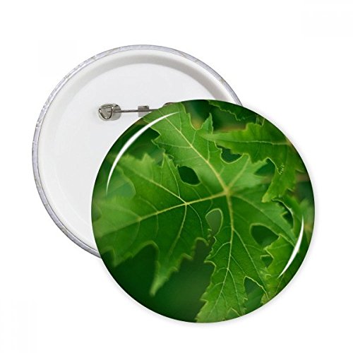 Badge bouton rond XXL motif plante feuille fraîche pour décoration de vêtements