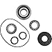 All Balls Front Differential Bearing and Seal Kit (25-2075)