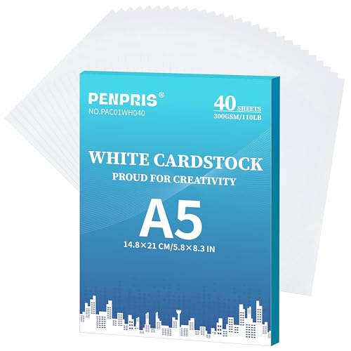 Cartulina blanca de 300 g/m², 40 hojas de cartón tamaño A5, 110 libras, papel grueso para hacer tarjetas, invitaciones, postales, tarjetas de visita PAC01WH040