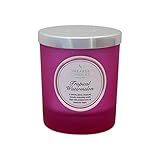 Shearer Candles Tropical Watermelon Scented Jar Candle with Silver Lid-Pink