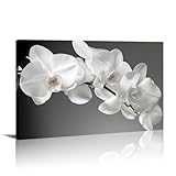 Orchid Canvas Wall Art Bathroom Wall Decor Gray Posters White Floral Painting Prints Modern Artwork for Living Room Bedroom Home Office Decor Framed(Flowers-5,12.00'x18.00')