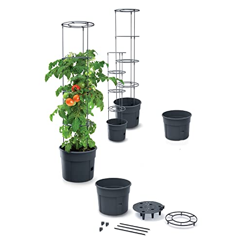 Tomatentopf Botle für Tomatenpflanze – Blumentopf mit Bewässerungssystem