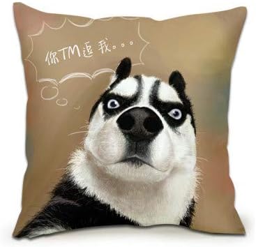 Wlllo Husky Kissen Gesichtsausdrucke Taschen Jungen Aus Kasachstan Erwachsene Schlafkissen Studentenwohnheim Bett E Amazon De Kuche Haushalt
