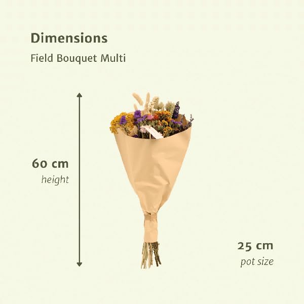 Bukiet suszonych kwiatów – wielokolorowy bukiet suszonych kwiatów – ok. Ø 25 cm, 60 cm, naturalna dekoracja do wnętrz, trwały i łatwy w pielęgnacji, pomysł na prezent