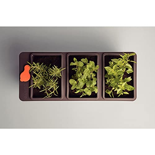 Tramontina VASO PLASTICO AUTOIRRIGAVEL TRIPLO, COR CAFE
