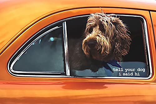 H&S Tell Your Dog I Said Hi Vinyl Decal Sticker | Car | Motorcycle | Truck | Laptop | Any Smooth Surface | Size: 6.5" (White)… #TOP2