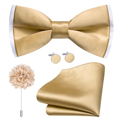 Image of Dubulle Mens Paisley Striped Bowtie Set Pre-tied Bowtie for Men and Pocket Square Set Wedding Business