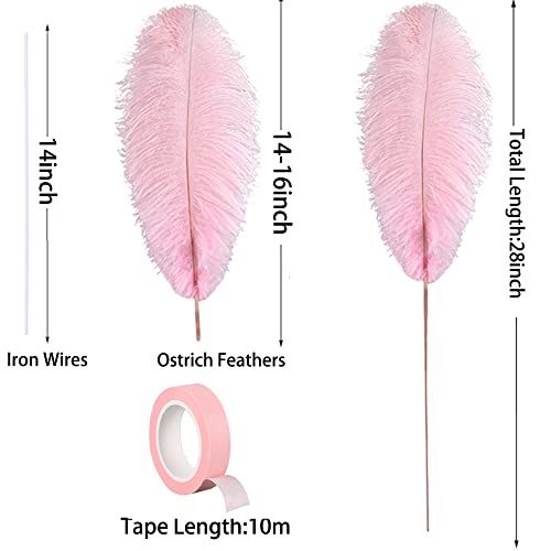 Ballinger Light Pink Ostrich Feathers - Making Kit 10Pcs 28 Inch Large Ostrich Feathers For Craft, Wedding Party Centerpieces, Vase Floral Arrangement And Home Decor #TOP3