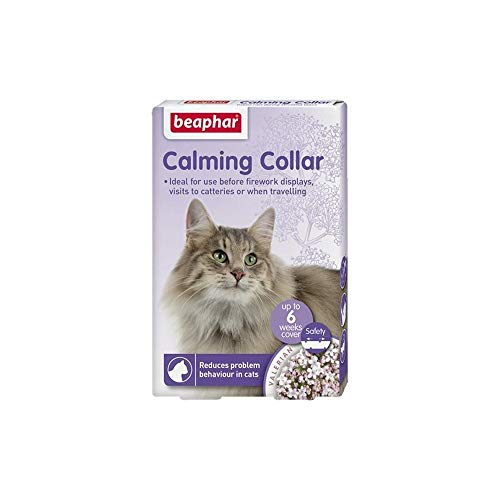 Beaphar Calming colar para gatos, 35 cm