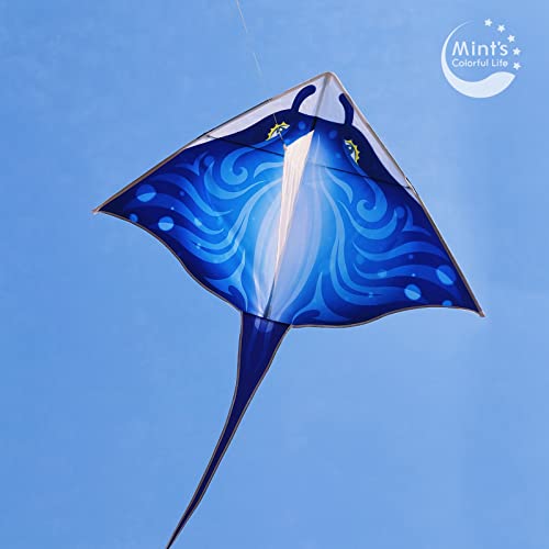 Devil Fish Kite For Kids Adults, Delta Kite Single Line Large, Kite Handle Include (Blue) #TOP5