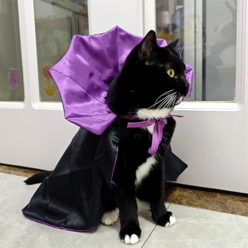 Dog-Halloween-Costumes-Dog-Vampire-Devil-Cloak-Cape-Costume