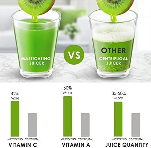 hhnn Juicer Machine, Slow Masticating Juicer with Quiet Motor, Reverse Function for Fresh Healthy Fruits and Vegetables Juice, Easy to Clean with Brush