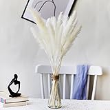 ☞Naturaleza y práctica: 100% natural, no tóxico e inofensivo. Color natural, paquete de 30 hierba de pampa seca. Longitud total de 58 a 65 cm, la longitud de la pluma de 25 a 35 cm. las pampas gras se pueden acortar fácilmente al tamaño deseado y adaptarse a su jarrón, trayendo una atmósfera de decoración de armonía.