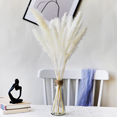 Familybox 30 Pcs Naturelles Séchée Herbe De Pampa, Phragmites Communis décoration Fleur Pampa Séchées Phragmites Bouquet Pampa Arrangement Photographier Mariage Fleurs Sèches Décor À Maison 53-60cm Cover