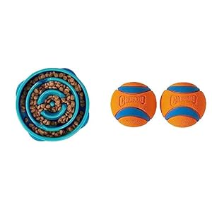 Outward Hound Fun Feeder Slo Bowl, Slow Feeder Dog Bowl, Medium/Mini, Turquoise & Chuckit Ultra Ball Dog Toy, Medium (2.5 Inch Diameter) Pack of 2, for Breeds 20-60 lbs
