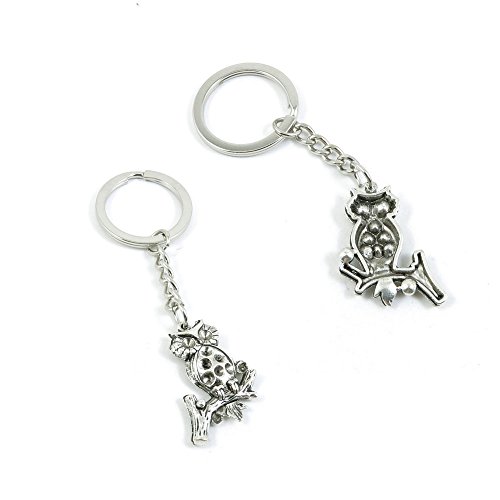 1 Pieces Keychain Keyring Door Car Key Chain Ring Tag Charms Supply Z2ZB8P Owl