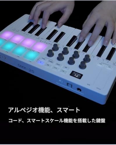 Brfveob キーボード 25鍵 USBコントローラー ミニ鍵盤 コンパクト ベロシティ対応 音楽制作 ギフト 小学校音楽愛好家、初心者 (ホワイト)