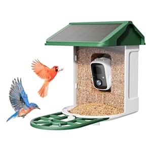Bird Feeder with Camera – Supports AI Identify Species, 2K Live Video, Arrival Alerts, Solar Powered Bird House Camera, Wireless Wild Birds Feeder for Outdoors, Remote Access to Watch Birds