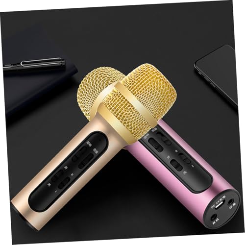 Microphone professionnel portable avec réverbération intégrée et support - 2