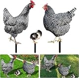 HOVCEH Huhn Familie Gartenstecker, 3pcs Deko Huhn Garten, Gartenstatue Dekorative Hen, HuhnGartenstecker, Gartendeko, Terrasse Gartenfiguren, Wetterfeste DekoHuhn