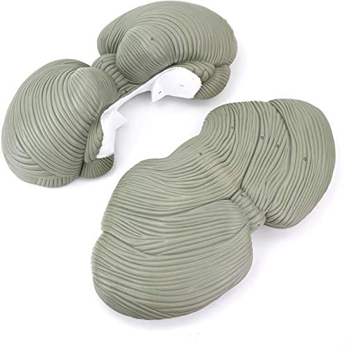 modele anatomiczne, Płaty móżdżku, jądro, model