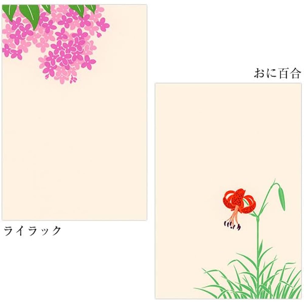 イシヅカユウ　ハガキ ハガキ/ポストカード｜紙シリーズ｜はがき箋 シルク 紅白つばき