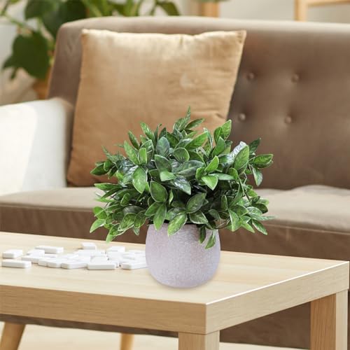 Winlyn 3DDSNCC Set Of 3 Small Artificial Potted Plants Faux Eucalyptus Rosemary Boxwood Decorative Plants In Gray Concrete Ceramic Pots thumb #5