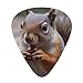 Cute Squirrel Guitar Picks 12 Pack Bass Picks with Organizer Box Guitar Plectrum Includes Thin Medium Heavy Guitar Picks Ukulele Picks for Bass Acoustic Electric Guitars