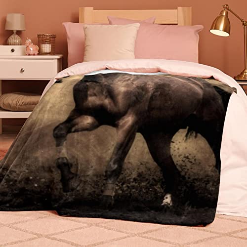 Couvertures chaudes et douces en microfibre plaid peluche cheval brun - 8