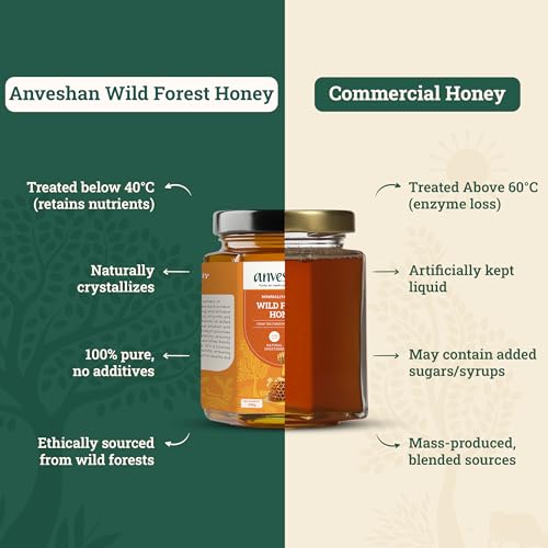 Anveshan Wild Forest Honey 500g - Image 6