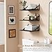 Forbena 12 Inch Deep Floating Shelves for Wall, Wide Black Wall Mounted Shelves for Bedroom Office Books Plants, Large Hanging Shelf for Living Room Bathroom Kitchen Closet Pantry Storage (3-Pack)